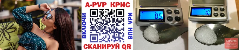 OMG как войти  Сенгилей  A PVP VHQ 