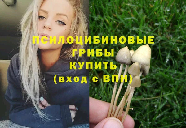 спиды Алзамай