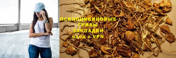 спиды Алзамай