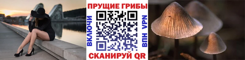 Галлюциногенные грибы GOLDEN TEACHER  наркотики  Сенгилей 